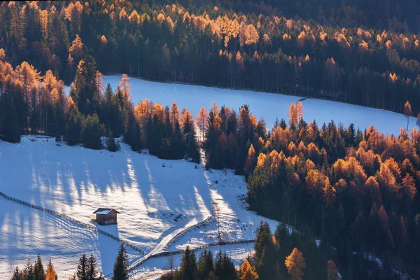 lonely house in forest in surround f St. Maddalena village, Dolomites, Italy