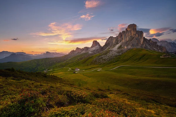 Coucher de soleil en été sur Passo di Giau avec des fleurs au premier plan, Dolomites, Italie — Photo