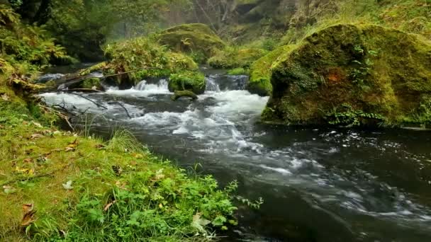 Река Каменце осенью, Чешская Швейцария — стоковое видео