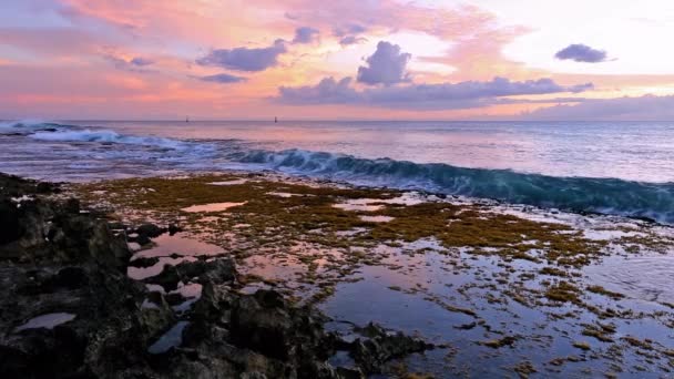 Naplemente a Ko Olina strand parkból. Hawaii-szigetek — Stock videók