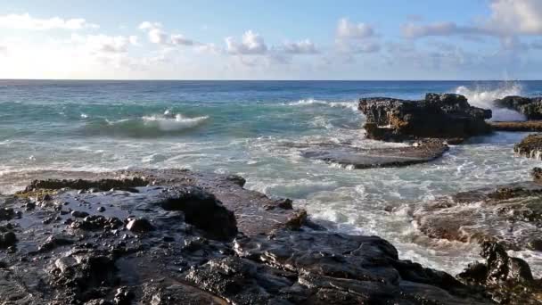 Ondas quebrando em rochas perto de praia de areia, Oahu, Havaí — Vídeo de Stock