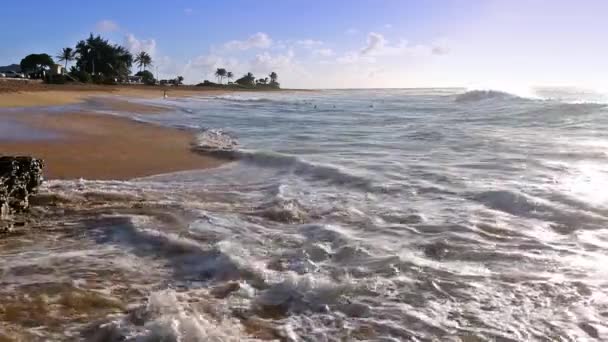 在夏威夷瓦胡岛，海浪在沙滩上与一群未受过教育的人冲撞 — 图库视频影像