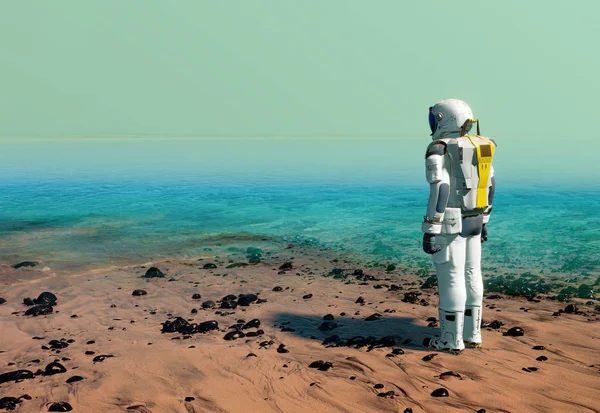 Astronauta na praia de reservatório de água artificial, lago, oceano — Fotografia de Stock