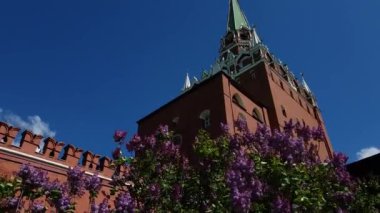 Leylak ve Trinity kule Kremlin, Moskova, Rusya