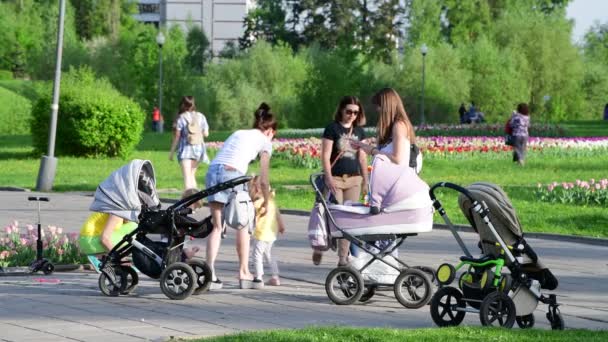 Moskva, Ryssland - 15 maj. 2018. mammor med barnvagnar promenad längs boulevard i Norrtälje — Stockvideo