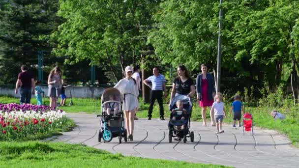 Moskva, Ryssland - 15 maj. 2018. mammor med barnvagnar promenad längs boulevard i Norrtälje — Stockvideo