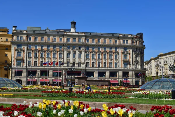 Moscow Russia May 2018 Manezhnaya Square Decorated Tulips — Stock Photo, Image