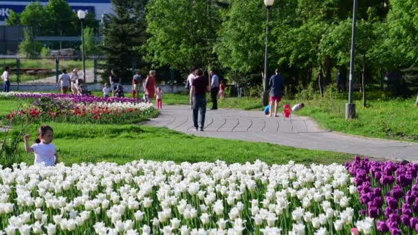 Moskau, Russland - 15. Mai. 2018. Boulevard mit Blumen für die Menschen in zelenograd dekoriert — Stockvideo