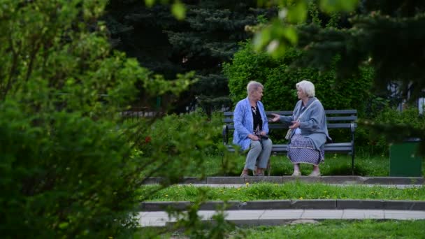 Moskwa, Rusia - 15 Mei. Tahun 2018. Dua nenek berbicara sambil duduk di bangku taman di Zelenograd — Stok Video