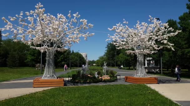 Μόσχα, Ρωσία - 22 Μαΐου. 2018. πάρκο Sadovniki στο νότιο διοικητική περιφέρεια — Αρχείο Βίντεο