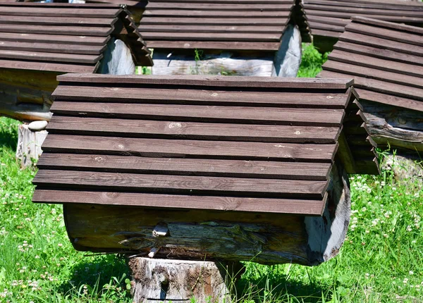 Apiario Con Colmenas Abejas Abjasia — Foto de Stock