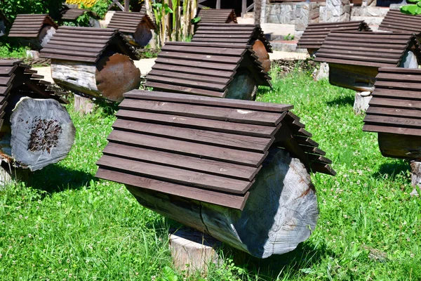 Ein Bienenhaus Mit Bienenstöcken Abchasien — Stockfoto