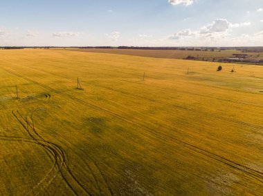 Rusya'da tepelerden tarım alanlarının görünümü