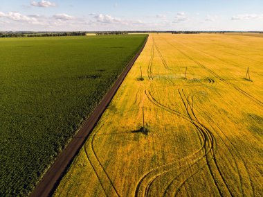 Rusya'da tepelerden tarım alanlarının görünümü