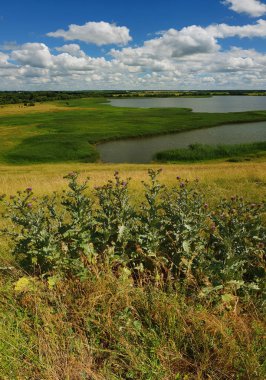 Bir su birikintisi Rusya ile bir yaz manzara Panoraması