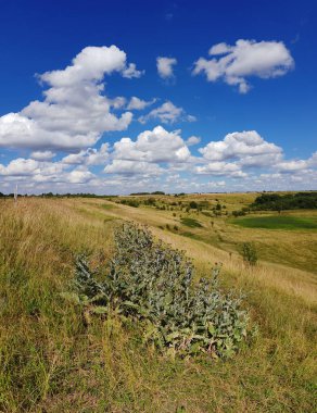 Rusya'da yaz manzara Panoraması