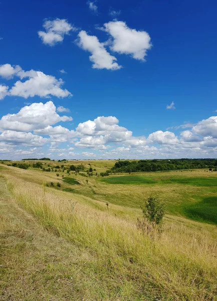 Rusya'da yaz manzara Panoraması