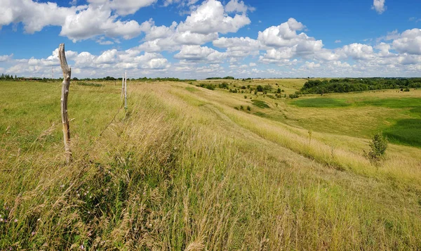 Rusya'da yaz manzara Panoraması
