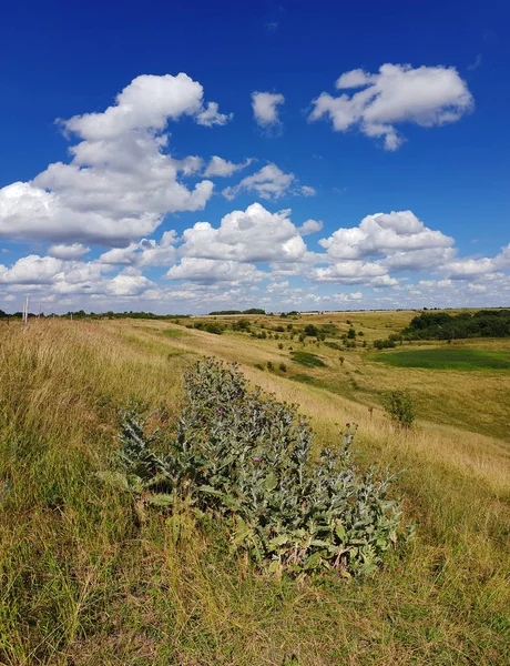 Rusya'da yaz manzara Panoraması