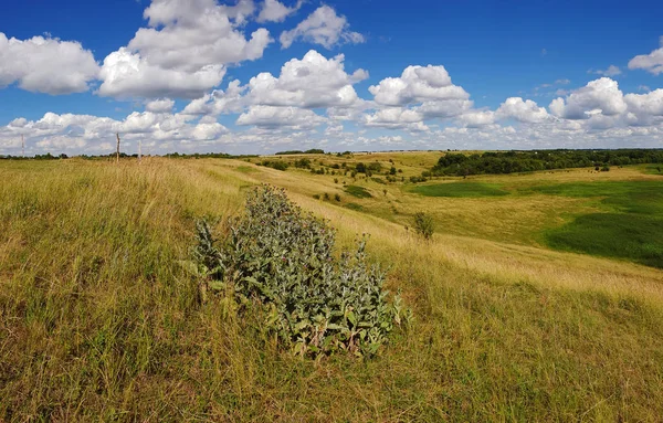 Rusya'da yaz manzara Panoraması