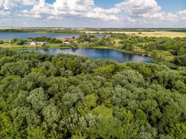 Kırsal manzara orman ve havuz Rusya, üstten görünüm