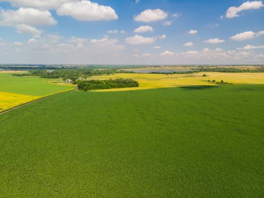 Rusya'da farklı renkteki alanların yukarıdan görüntüleyin