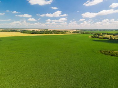 üstten görünüm Rusya Tarım alanlarının. Temmuz
