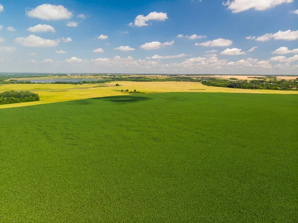 üstten görünüm Rusya Tarım alanlarının. Temmuz