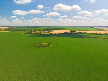üstten görünüm Rusya Tarım alanlarının. Temmuz