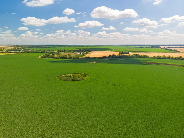 üstten görünüm Rusya Tarım alanlarının. Temmuz