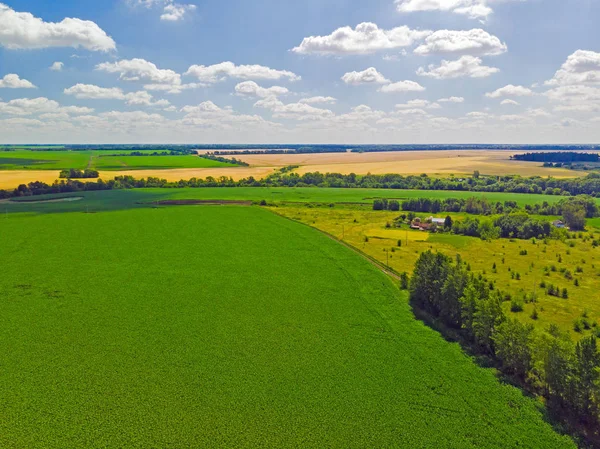 Rusya'da farklı renkteki alanların yukarıdan görüntüleyin