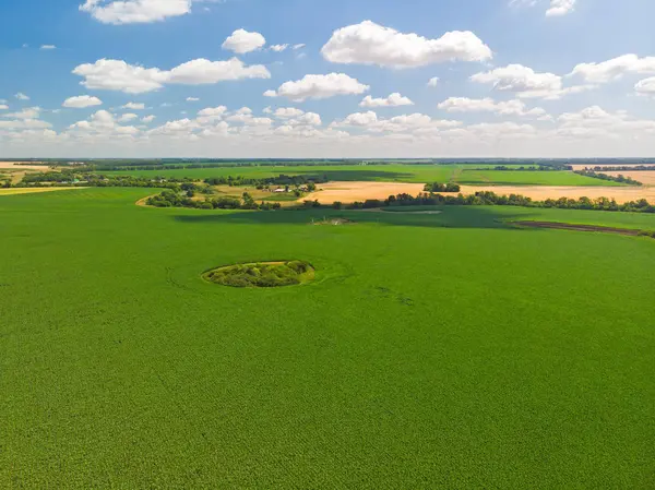 üstten görünüm Rusya Tarım alanlarının. Temmuz