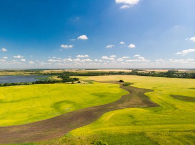 Rusya'nın doğası. tahıl alanları