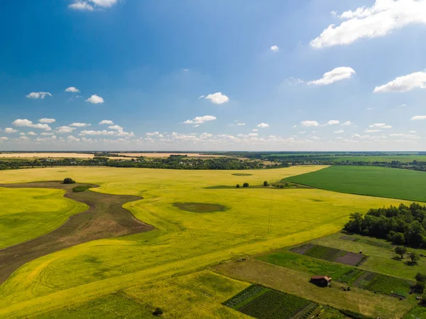Rusya'nın doğa. tahıl alanları