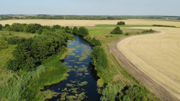 Μικρό ποτάμι στην εξοχή στη Ρωσία — Αρχείο Βίντεο