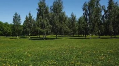 Rusya'da Moskova şehir parkı Sadovniki