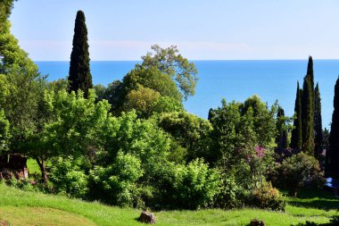 Abhazya yeni Athos yakınındaki doğada