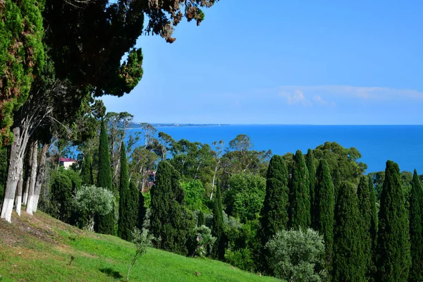 Nature in Abkhazia near New Athos in summer — Stock Photo, Image