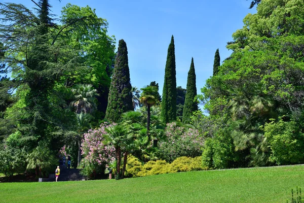 Sochi Ryssland Juni 2018 Växter Olika Klimatzoner Arboretum — Stockfoto