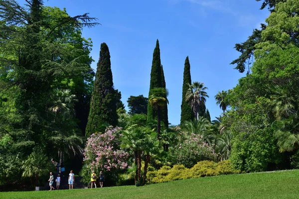 Sochi Russia June 2018 Plants Different Climatic Zones Arboretum — Stock Photo, Image