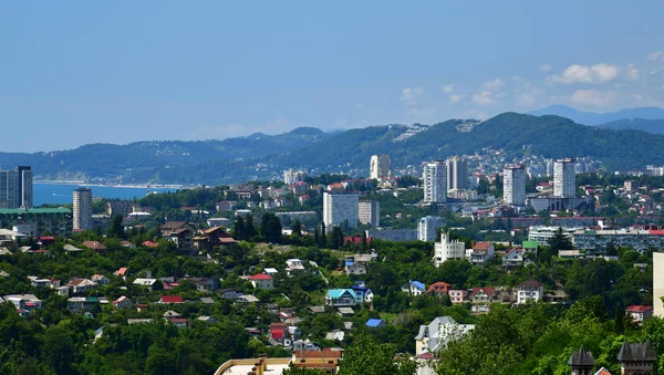 Hava Bir Anket Sochi Şehir Rusya — Stok fotoğraf