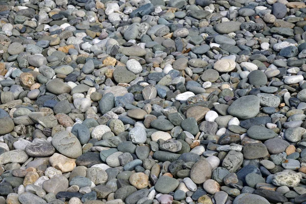 Background Large Pebbles Beach — Stock Photo, Image