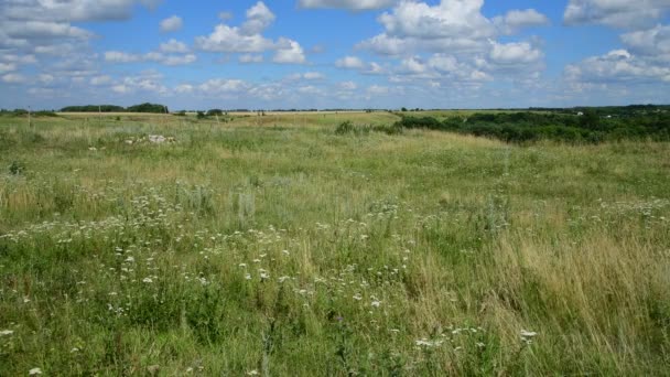 Beau paysage d'été en Russie — Video