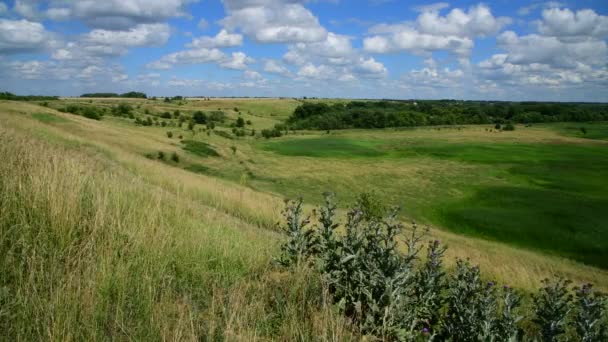 Landschap in de zomer in juli in Rusland — Stockvideo