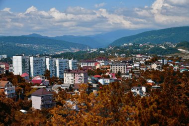 Hava bir anket Sochi şehir. Rusya