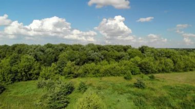 Kırsal manzara orman ve havuz Rusya, üstten görünüm