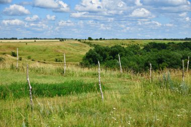 Temmuz ayında Rusya'da bir bozkır kırsal manzara