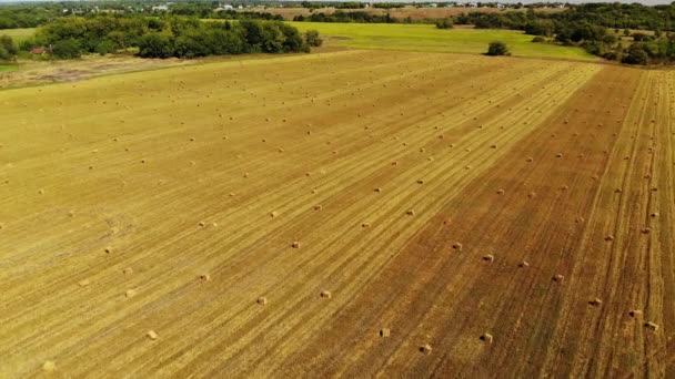 Vuelo sobre el campo con fardos de paja — Vídeos de Stock