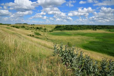 Orman ve bozkır Rusya'da manzara
