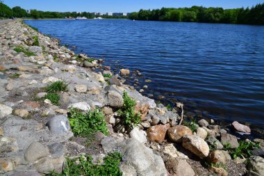 Rusya'nın Moskova bir Kolomenskoye parkta Moskva Nehri'nin kıyısında